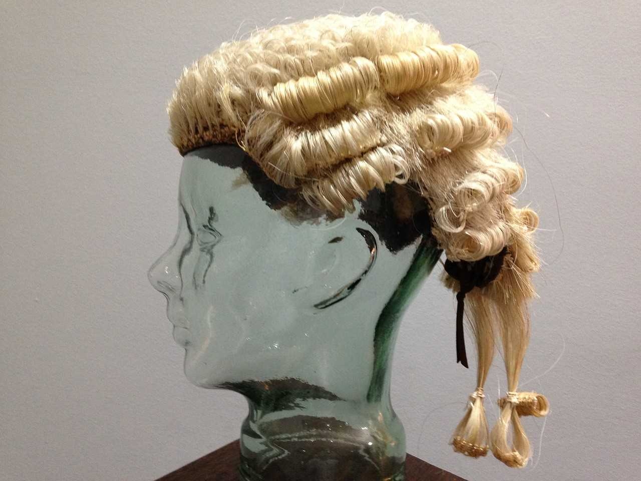 Lawyer wig